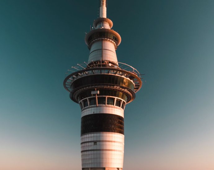 New Zealand igaming licence
